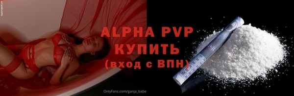 спиды Пересвет