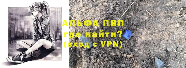 спиды Пересвет
