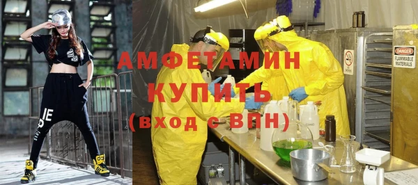 спиды Пересвет