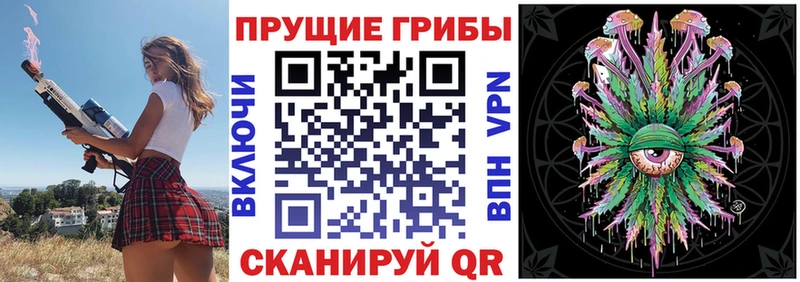 Псилоцибиновые грибы Psilocybine cubensis Костомукша
