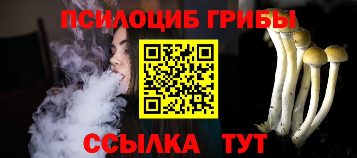 Галлюциногенные грибы Psilocybe Костомукша